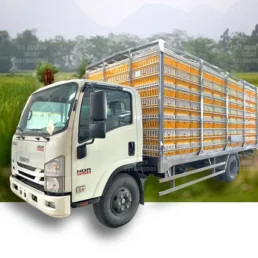 Xe tải Isuzu chở Gia cầm Gia Súc dùng để chở Heo, Gà Vịt
